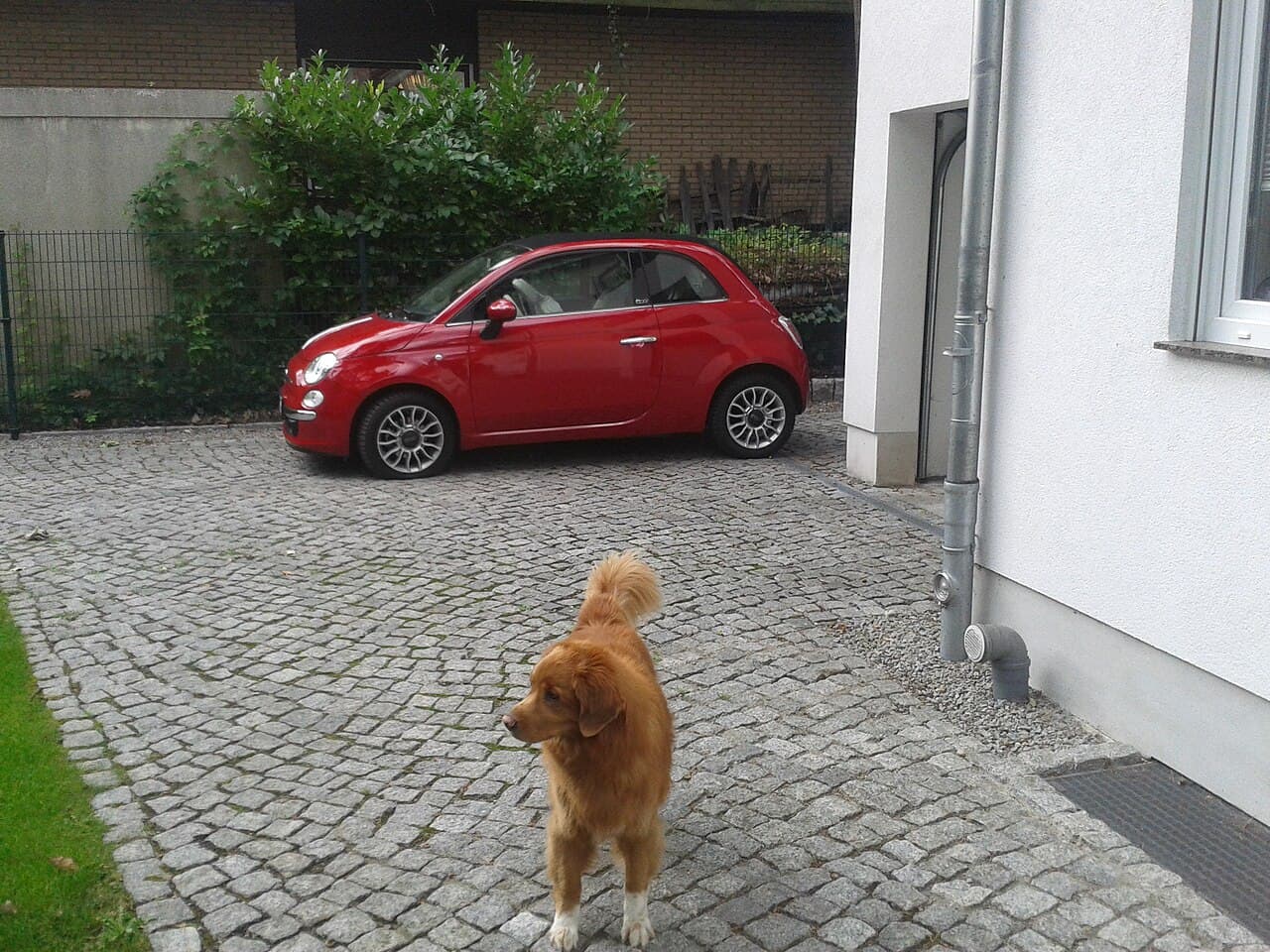 Fiat 500 1.2